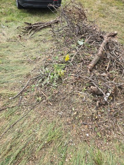 Debris removal and site stabilization work